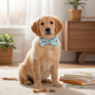 Dog wearing a blue dinosaur dog bow tie sitting on a carpet with books and a bone toy in a room.