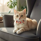 Cat wearing a floral cat bow tie sitting on a gray chair with plants in the background