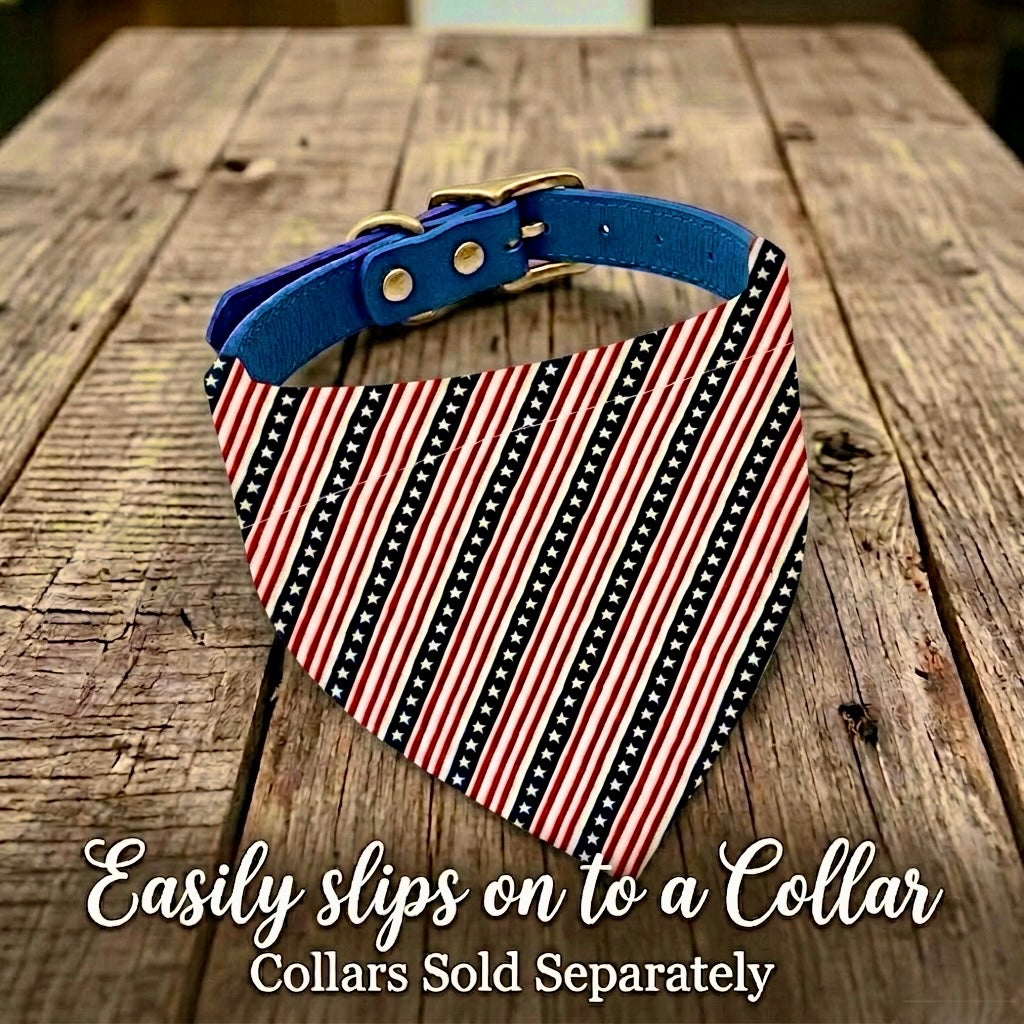 4th of July dog bandana clarifying that the dog collar it slips on to is sold separately.