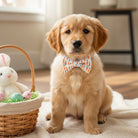 Puppy in an Easter dog bow tie next to an Easter basket.