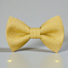 Gold bow tie illuminated on a dresser.