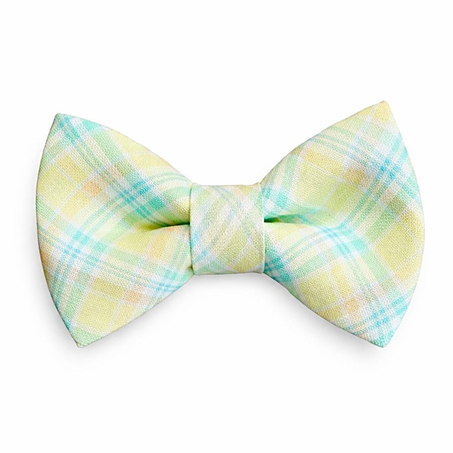 Plaid Easter bow tie with pastel colors on a white background