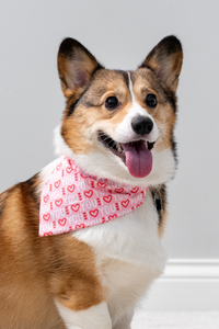 I Love You Valentine's Day Dog Bandana