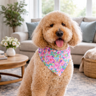 Dog wearing a preppy dog bandana from The Bold Bow Tie sitting on a rug in a living room.