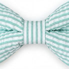 A close-up view of a mint green and white striped bow tie against a white background.