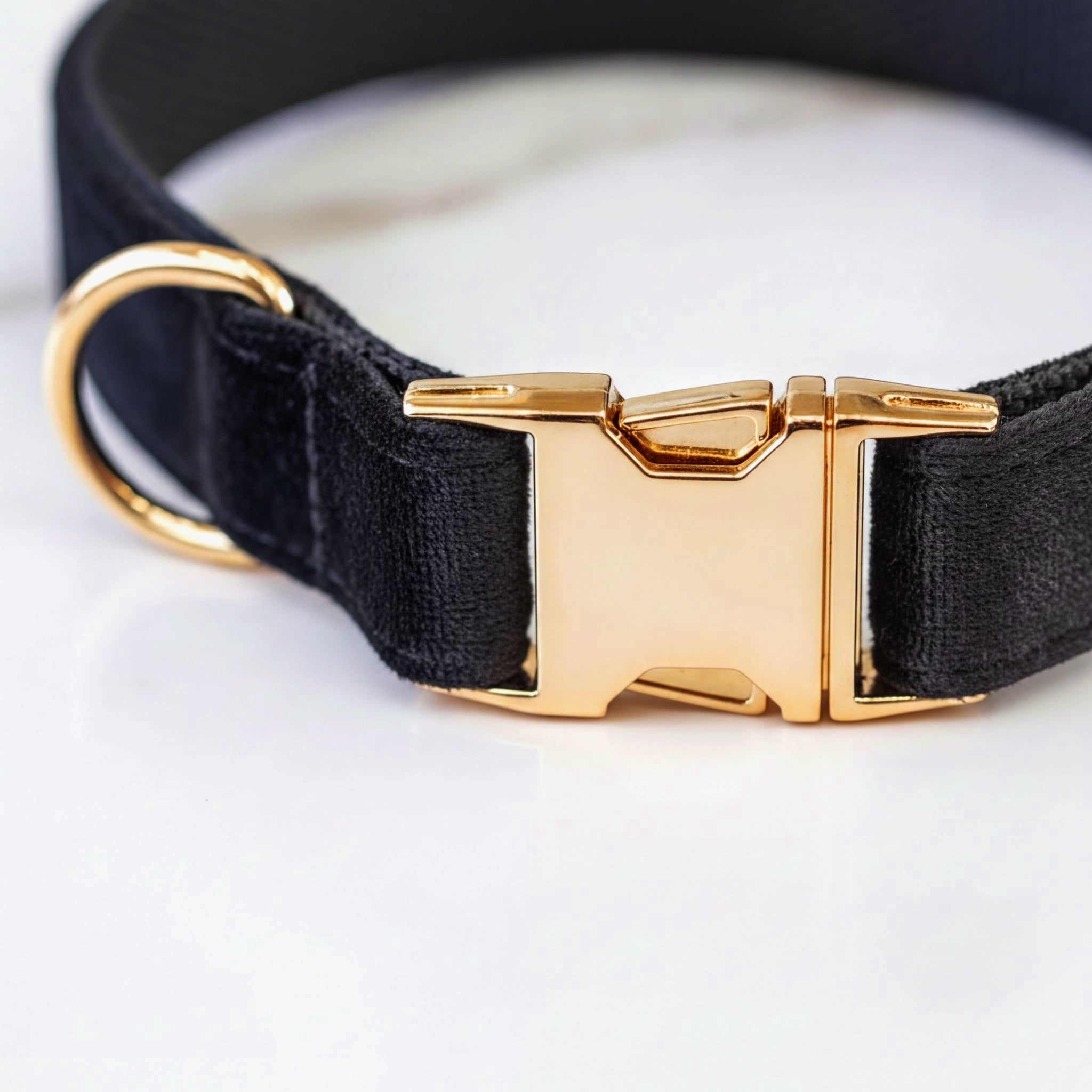 A close-up view of a black dog collar with a gold buckle.