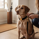 A woman is sitting on the floor with a dog wearing a black collar and leash, with a brown umbrella visible in the background.
