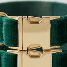 A close-up view of a green velvet pet collar with a gold buckle.