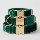 Green velvet dog collars with gold buckles on a light gray background