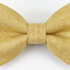 A gold-colored bow tie is shown against a white background.