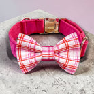 Pink plaid dog collar and bowtie with a gold buckle and a pink and white plaid bow tie on a gray surface.