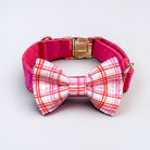 Plaid pink dog collar with a pet bowtie on a light gray background