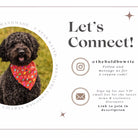 Curly coated dog wearing a red bandana with multicolored dots around its neck outdoors.
