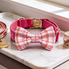 A pink plaid dog collar, a pink leash, and a small jar of dog treats are arranged on a white marble countertop near a window.