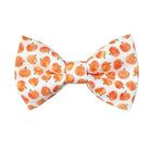 Halloween dog bow tie with orange pumpkins on a white backgorund.