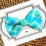 Load image into Gallery viewer, Blue &amp; Green Easter Dog Bow Tie
