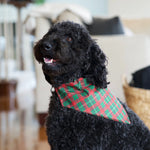 Load image into Gallery viewer, a black dog wearing a red and green bow tie
