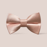 Load image into Gallery viewer, Satin Blush Hair Bow
