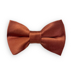 Load image into Gallery viewer, Satin Terracotta Bow Tie
