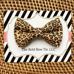 Load image into Gallery viewer, Girl Best Sellers Dog Bow or Cat Bow Gift Set
