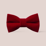 Load image into Gallery viewer, Red Velvet Hair Bow
