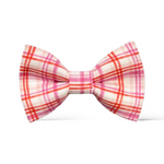 Load image into Gallery viewer, Pink &amp; Red Plaid Bow Tie
