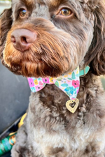Load image into Gallery viewer, Navy Wonderland Garden Bow Tie for Dog Collar and Cat Collar
