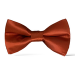Load image into Gallery viewer, Burnt Orange Terracotta Satin Bow Tie
