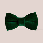 Load image into Gallery viewer, Green Velvet Hair Bow
