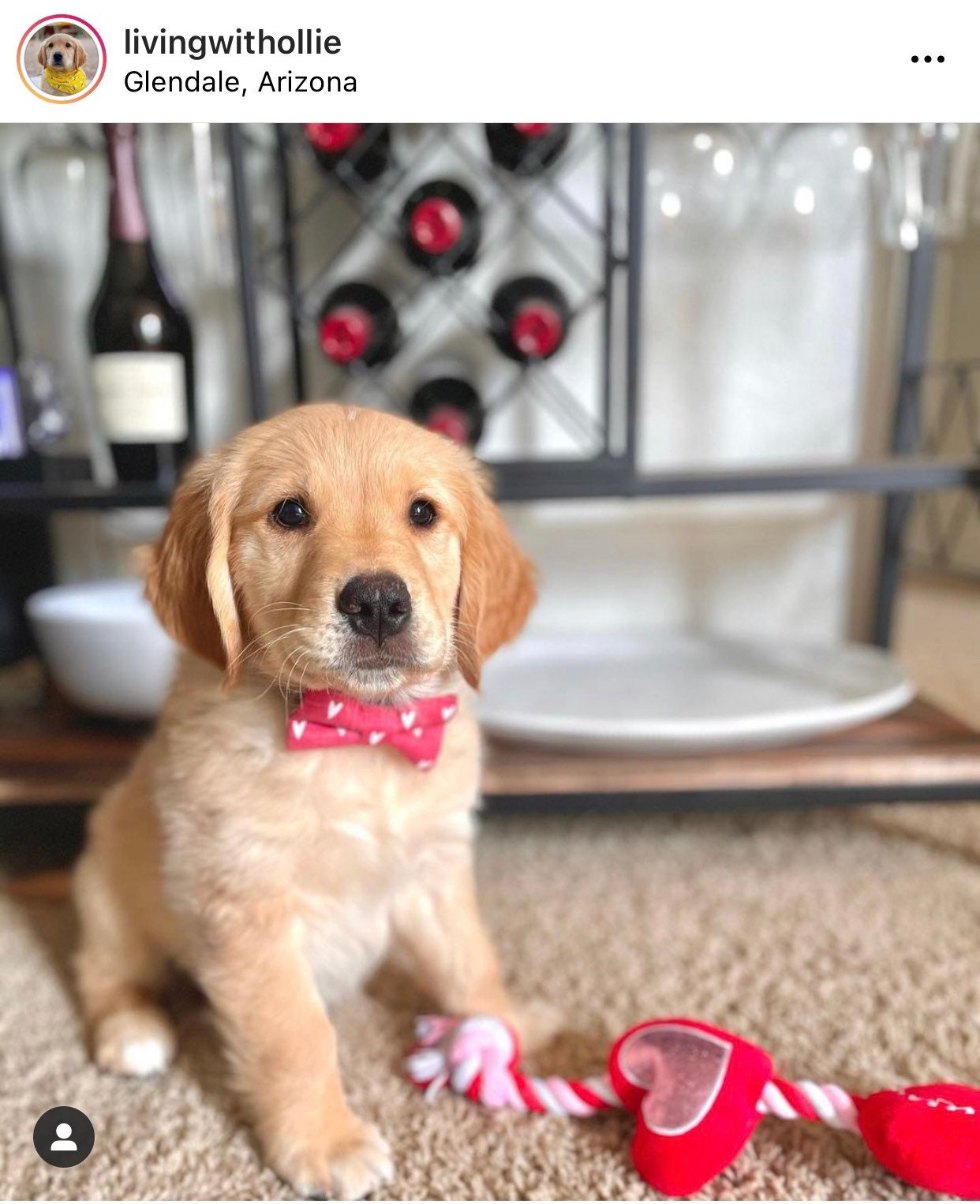 Red Hearts Bow Tie for Dog and Cat Collar