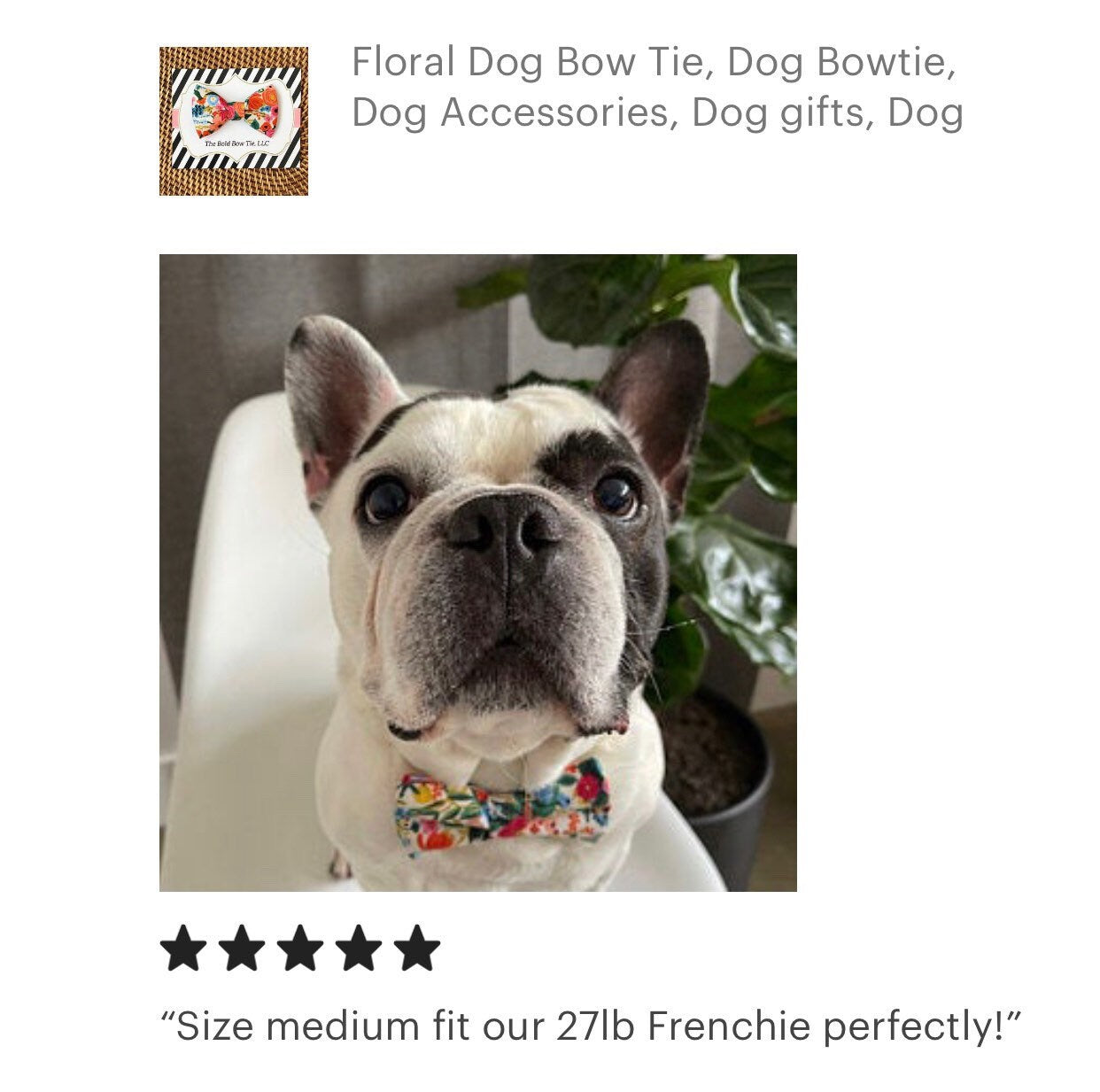 Classic Rifle Paper Co Bow Tie for Dog and Cat Collar
