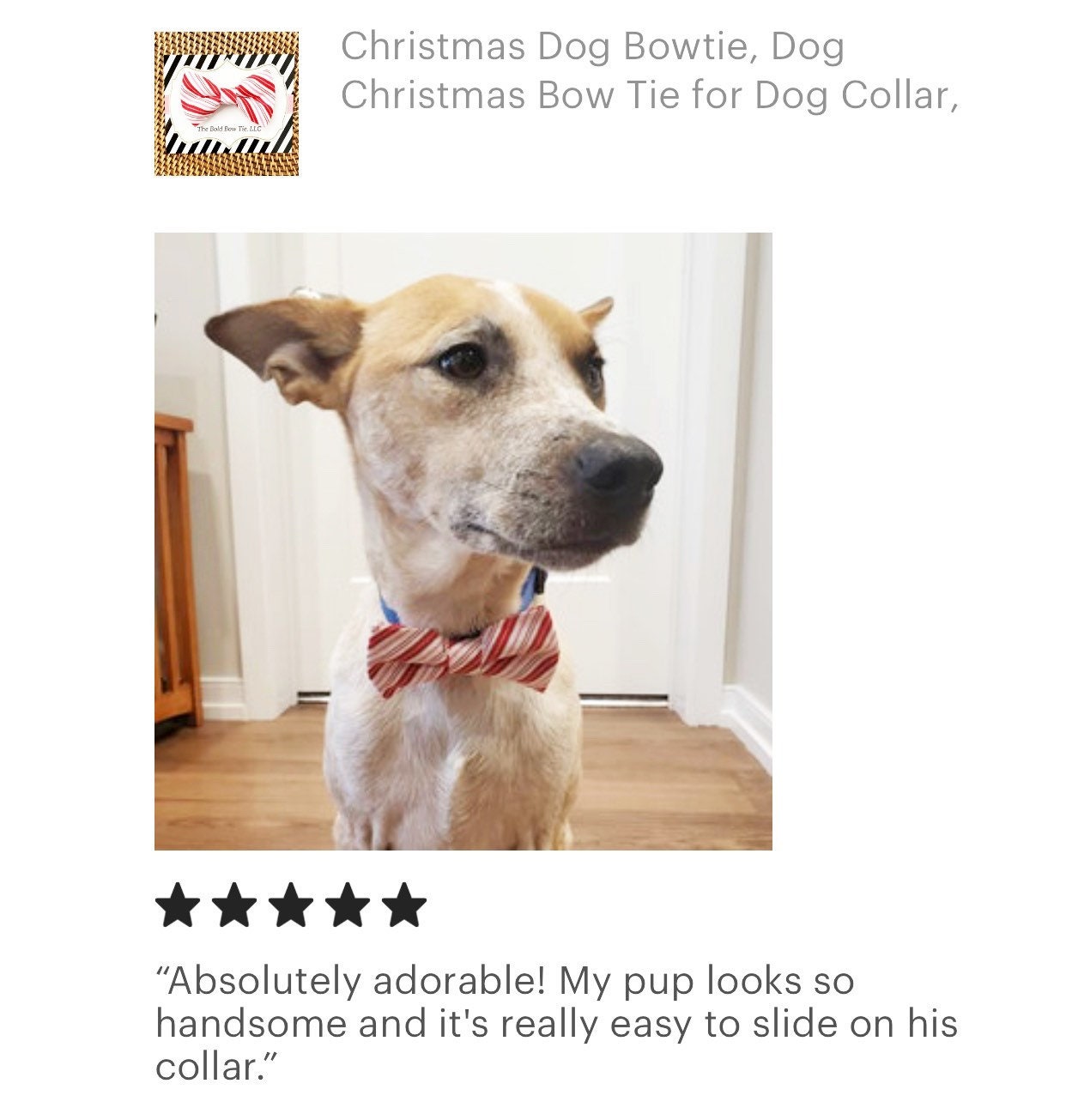Candy Cane Bow Tie for Dog and Cat Collar