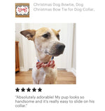 Load image into Gallery viewer, Candy Cane Bow Tie for Dog and Cat Collar
