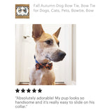 Load image into Gallery viewer, Autumn Leaves Bow Tie for Dog and Cat Collar
