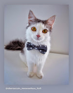 Load image into Gallery viewer, Grey Hearts Bow for Dog Collar and Cat Collar
