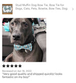 Load image into Gallery viewer, Stud Muffin Bow Tie for Dog and Cat Collar
