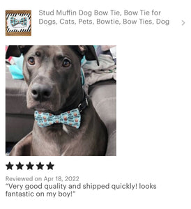 Stud Muffin Bow Tie for Dog and Cat Collar