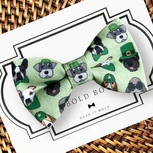 St Patrick's Day Leprechaun Dog Bow for Dog Collar or Cat Collar